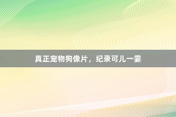 真正宠物狗像片，纪录可儿一霎